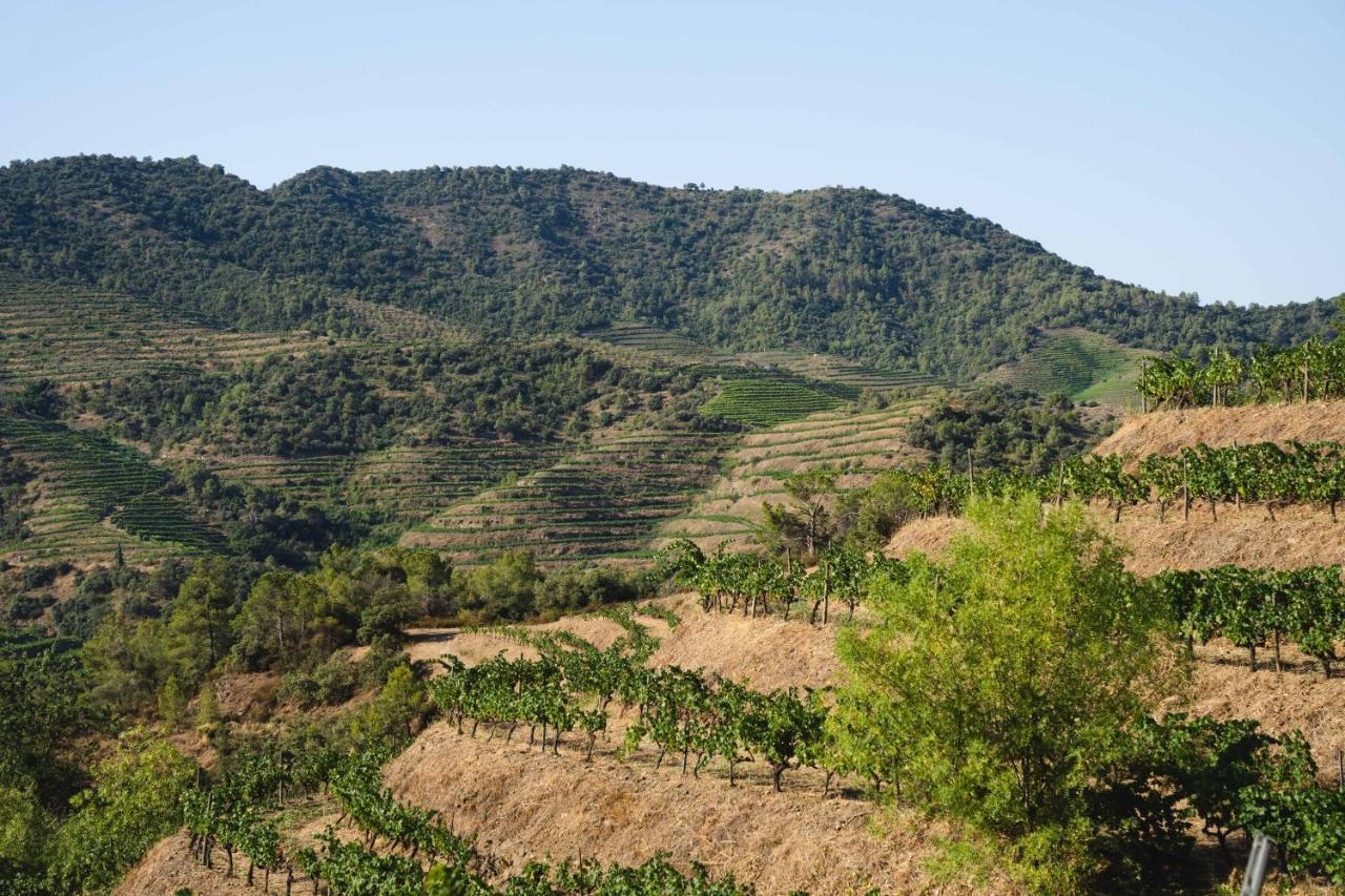 Ora Priorat, A Member Of Design Hotel
